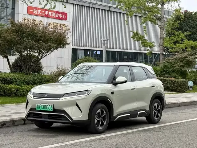 Yuan Up 2025 Smart Driving Version 401km Transcendent Model