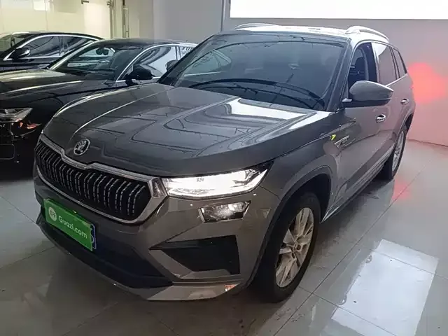 Kodiak 2024 TSI330 5-seater two-wheel drive powerful version