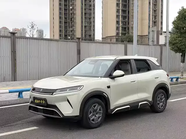Yuan Up 2025 Smart Driving Edition 401km Vitality Edition