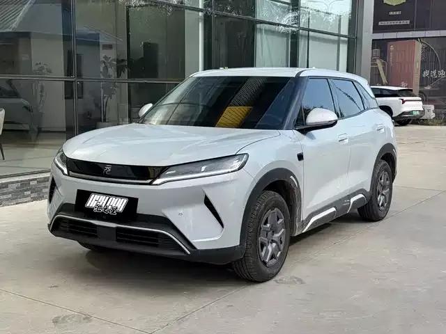 Yuan Up 2025 Smart Driving Edition 401km Vitality Edition