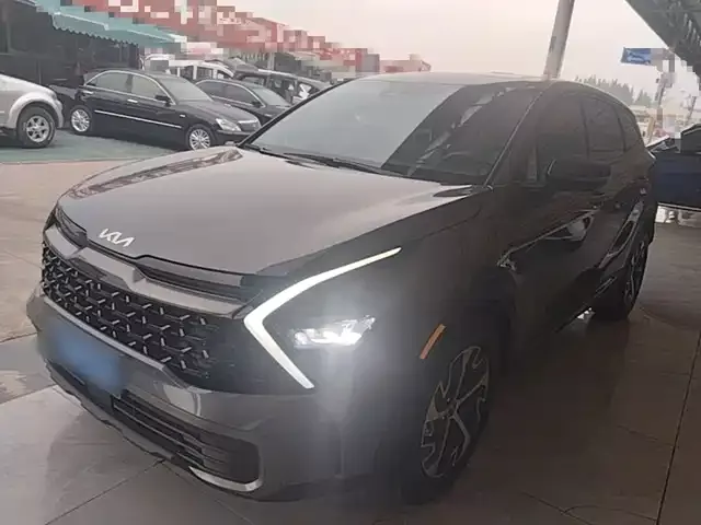 Lion Expands The World 2025 1.5t Two-Wheel Drive Premium Intelligent Edition